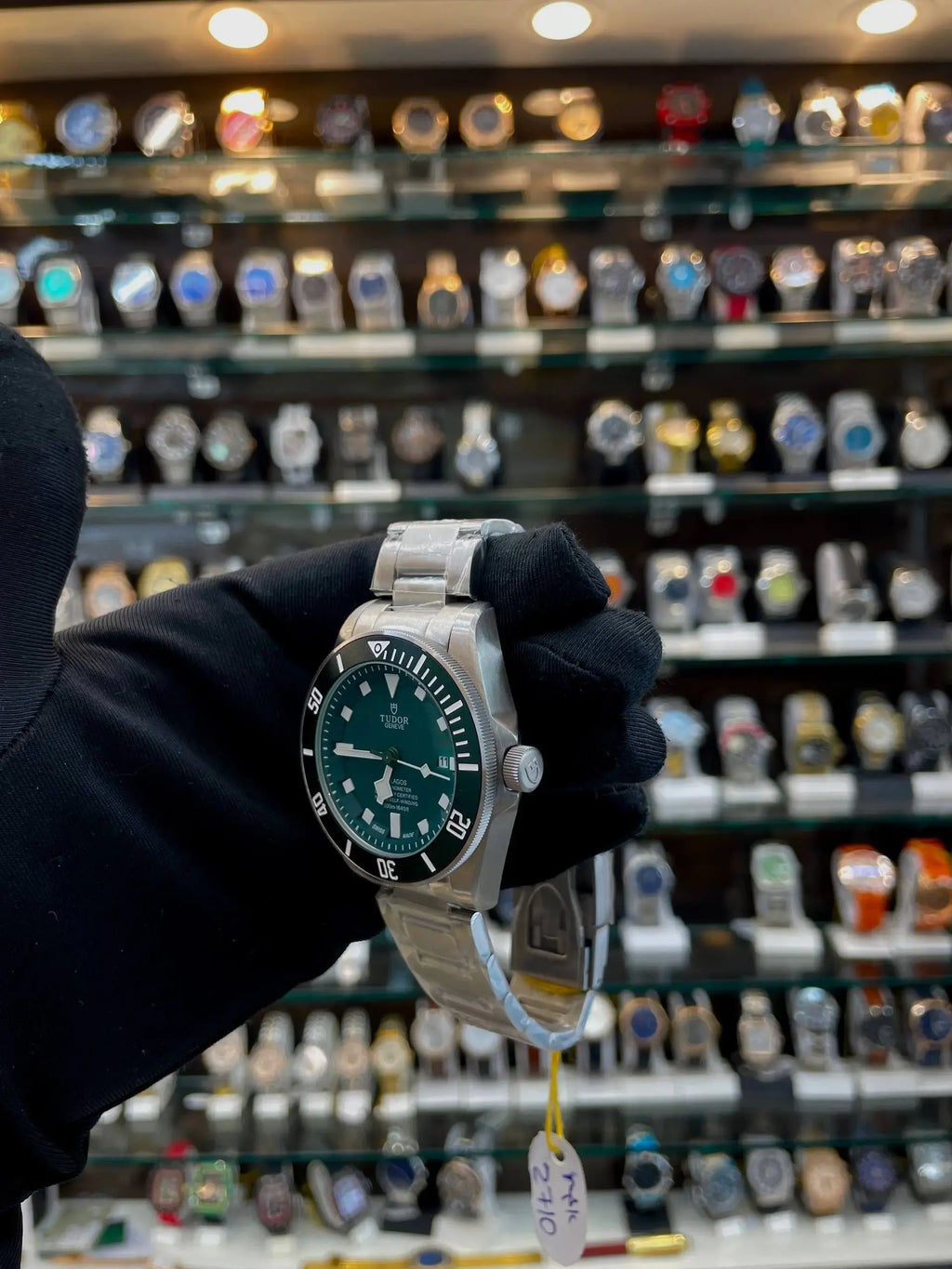 Tudor pelagos rotator master piece