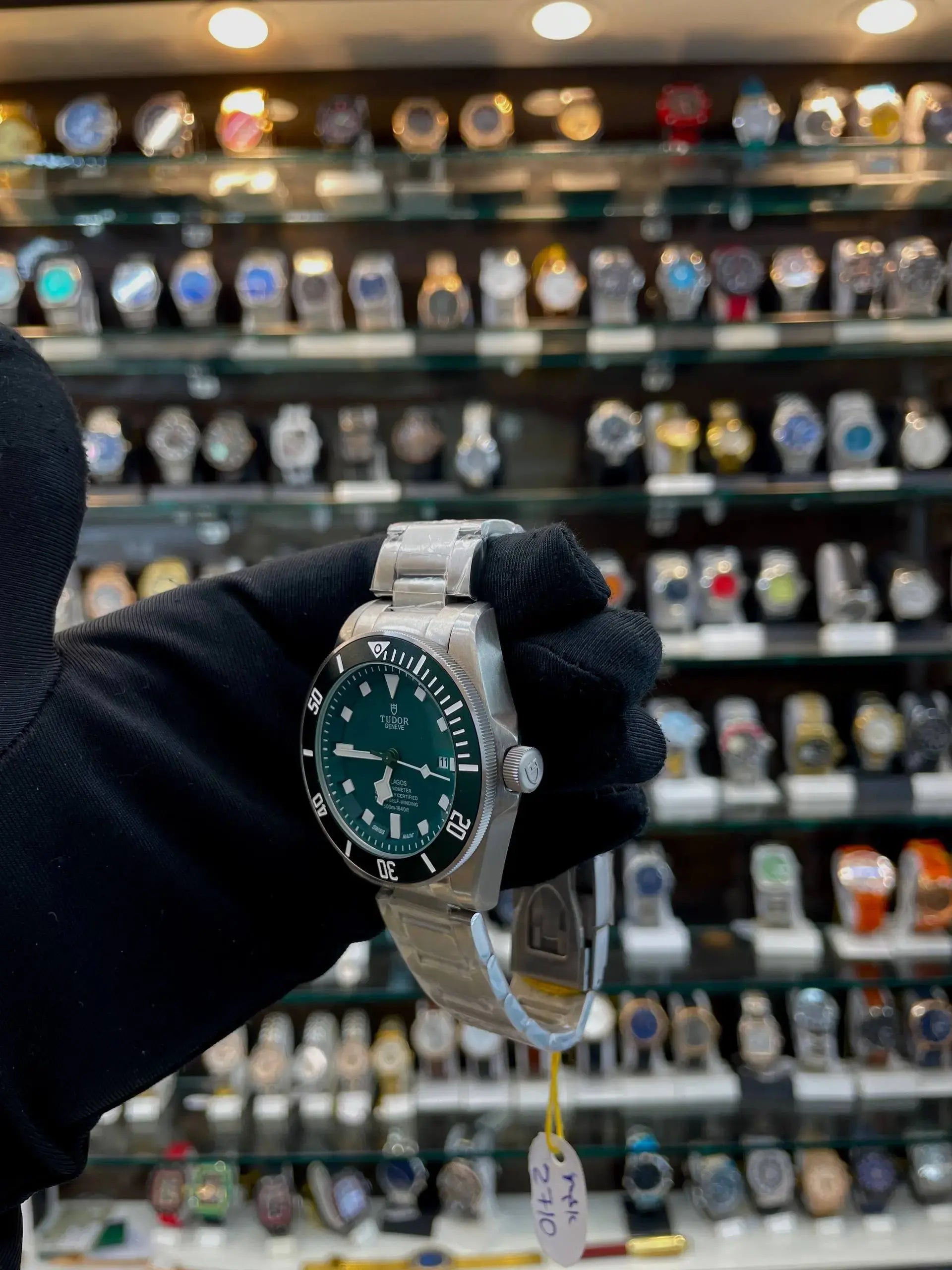 Tudor pelagos rotator master piece