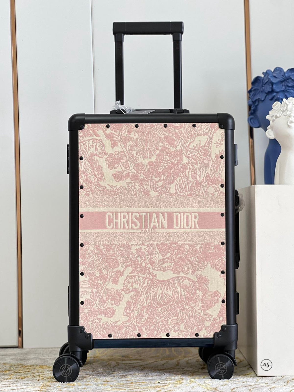 Cristan dior cabin trolley bag