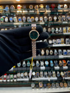 Daniel Wellington (dw) heavy quality for girls