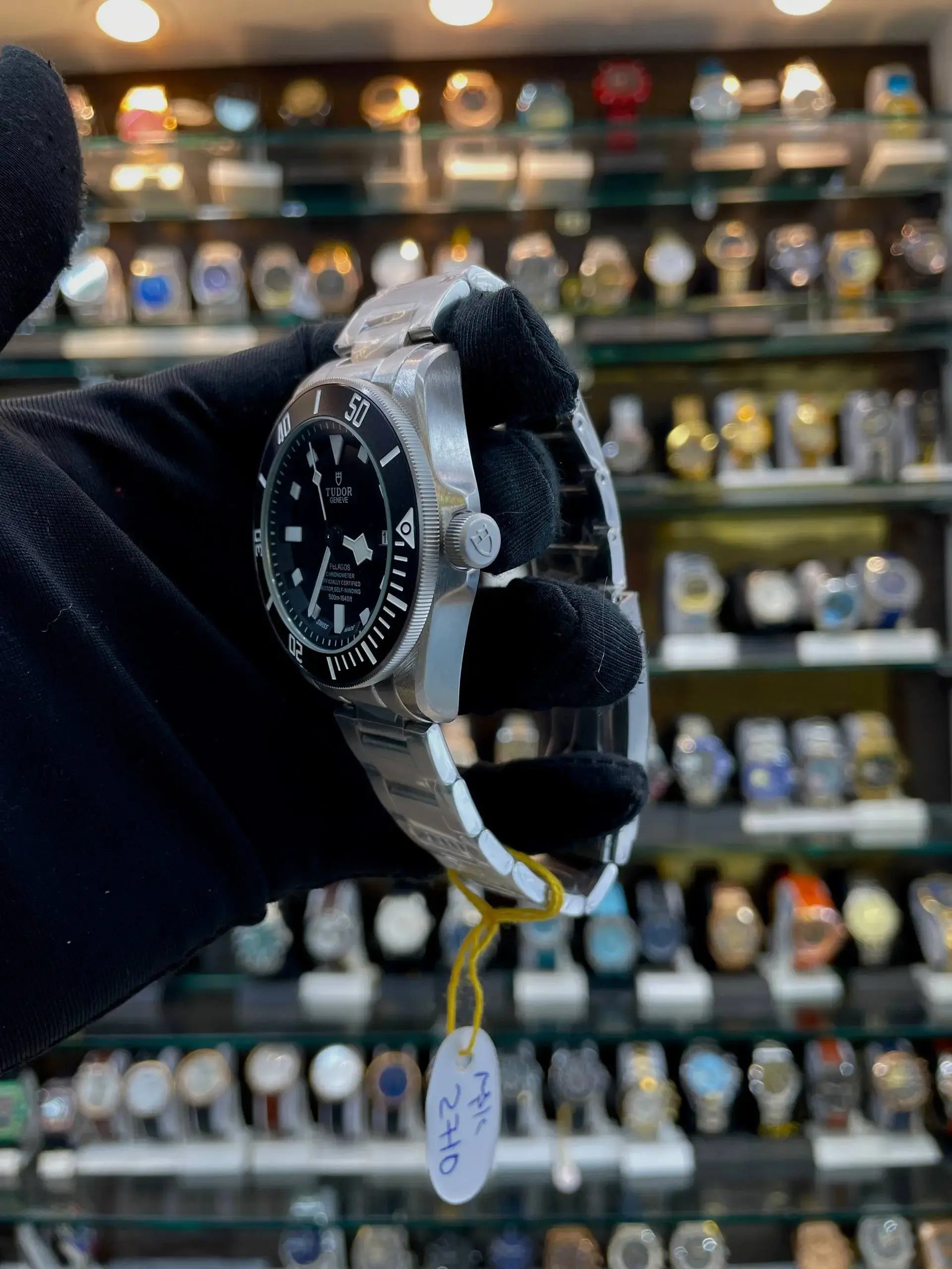 Tudor pelados now in master piece