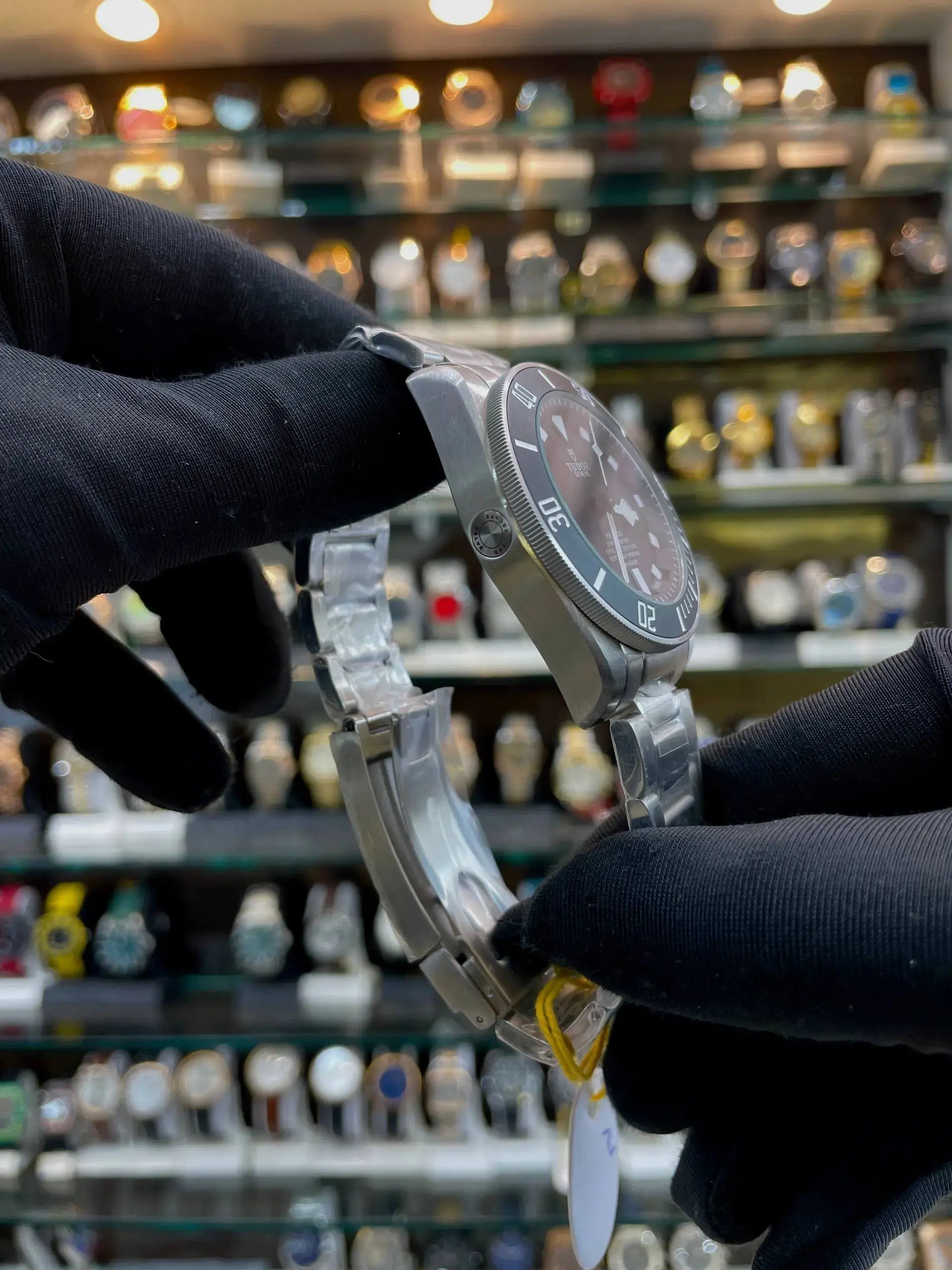 Tudor pelados now in master piece