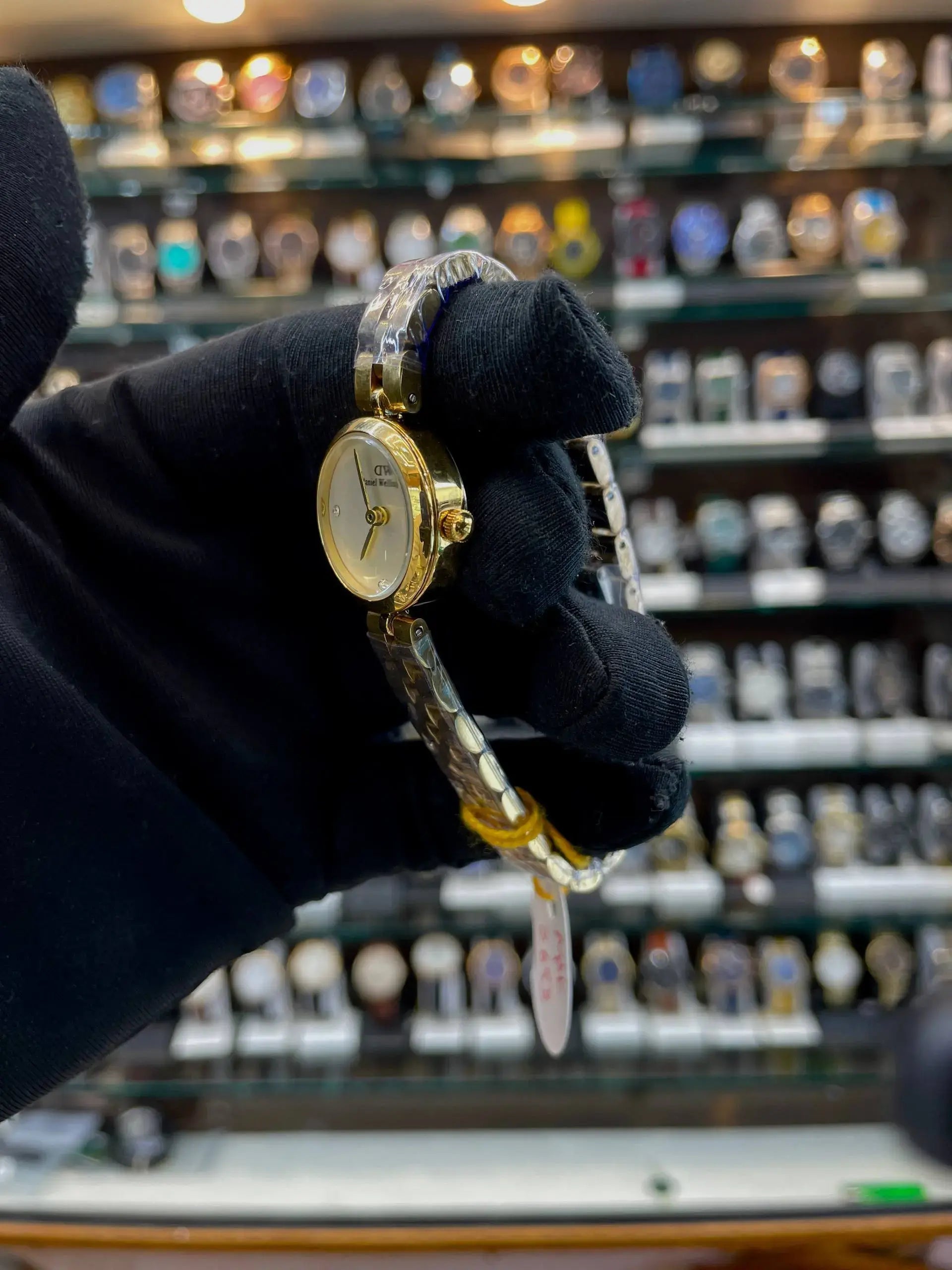 Daniel Wellington (dw) elan lumine gold girls watch