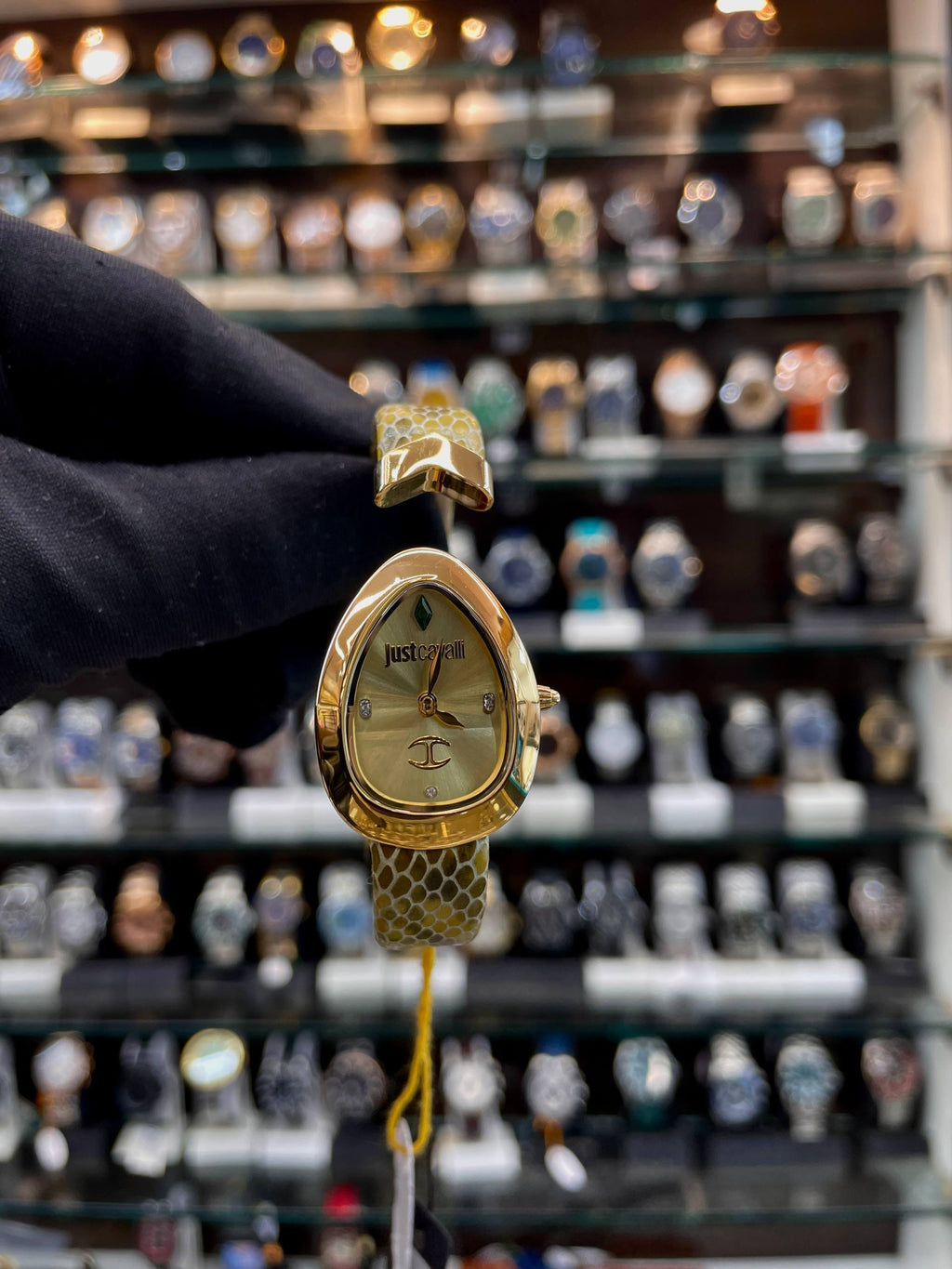 JUST CAVALLI DIVERSA SNAKE WOMEN'S WATCH IN MASTER PIECE 🔥