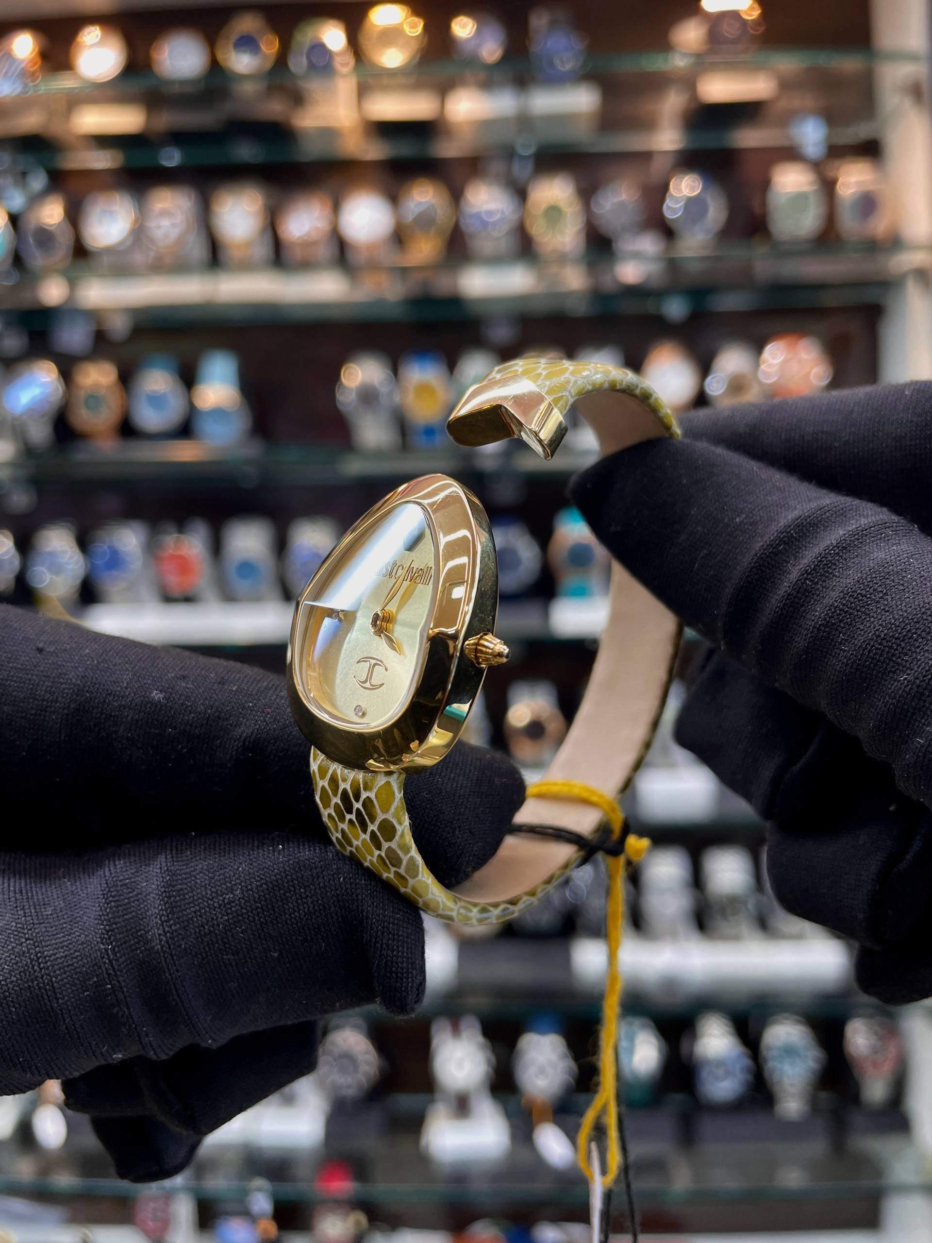 JUST CAVALLI DIVERSA SNAKE WOMEN'S WATCH IN MASTER PIECE 🔥
