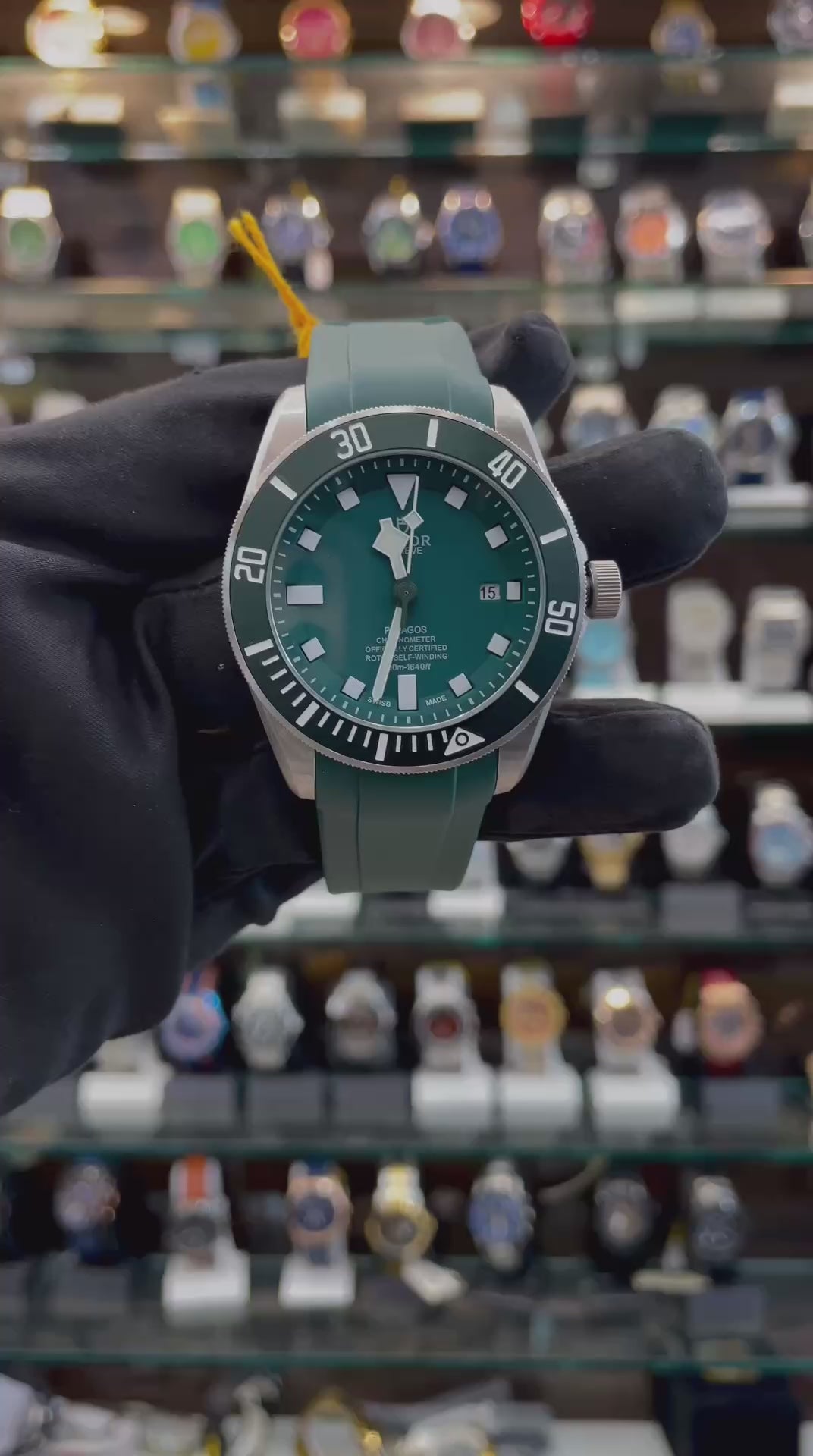 Tudor Pelagos Rotator Self-Winding master piece