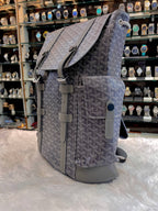 GOYARD ALPIN GREY 🩶 BACKPACK 🎒 IN MASTER PIECE 🤩