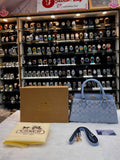 COACH DARCIE CARRYALL IN BLOCKED SIGNATURE CANVAS SKY BLUE 